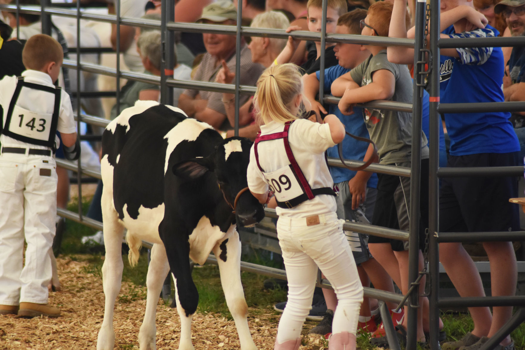Youth Dairy Competition